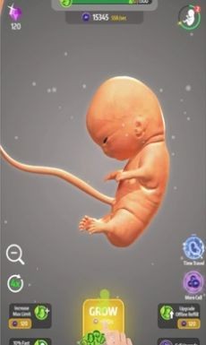 怀胎模拟器截图3