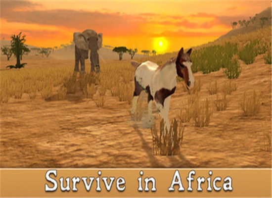 非洲马模拟器截图4