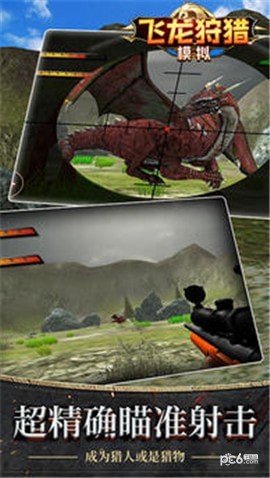 飞龙狩猎模拟截图2