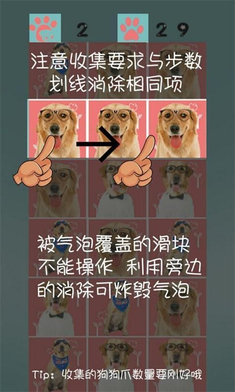 神犬小七消消乐截图4