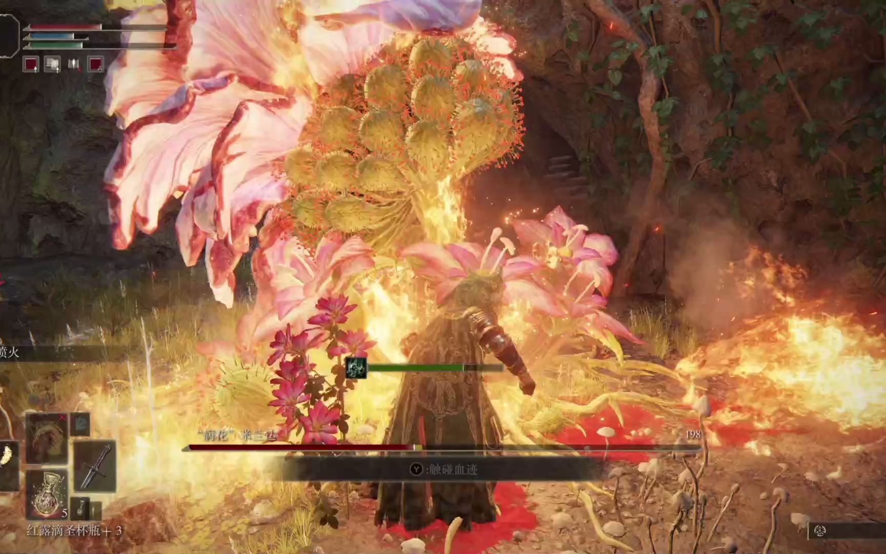 艾尔登法环病花米兰达位置在哪